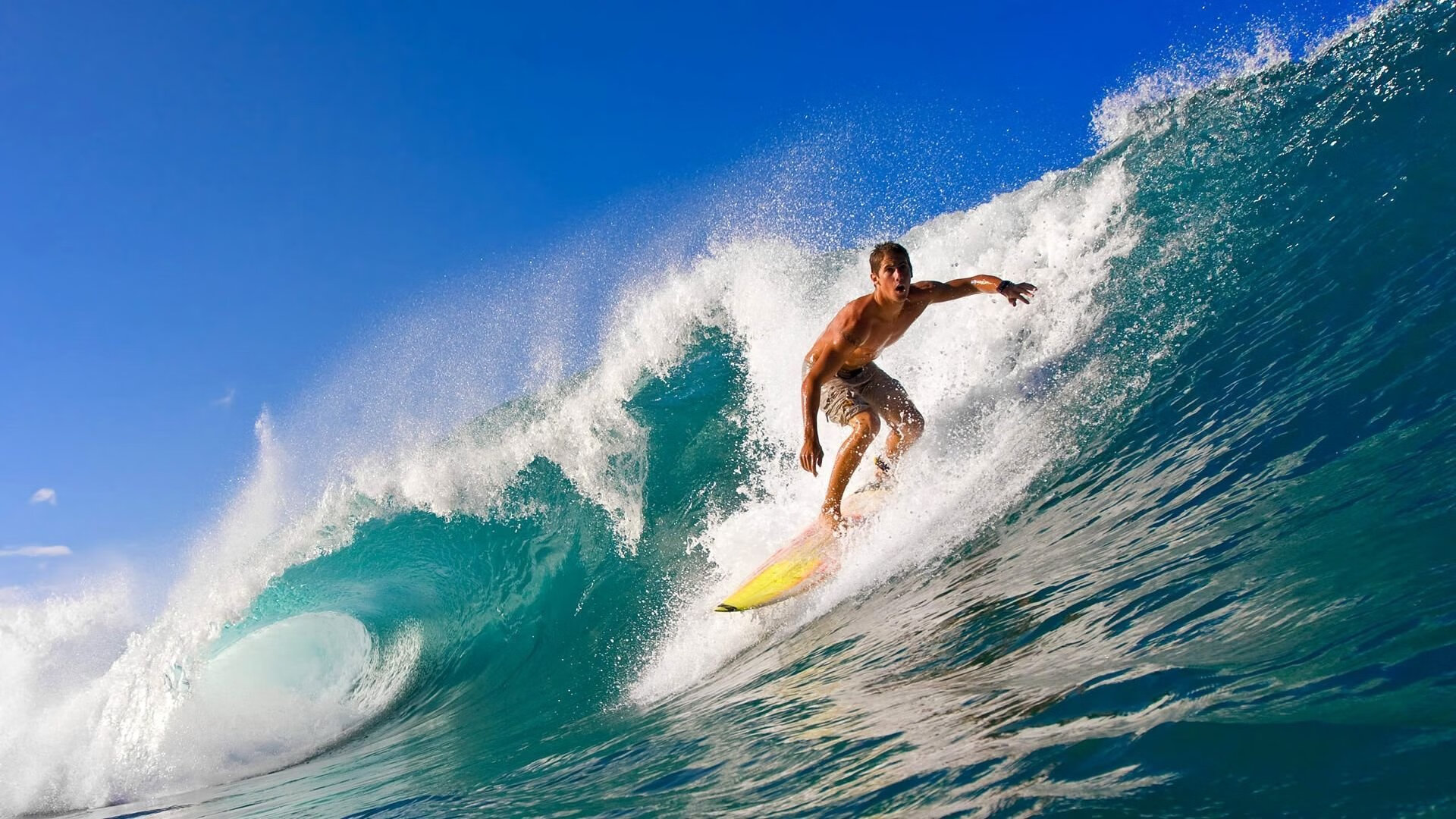 AYX SPORTS-大坂直美回归赛场，高光表现首场状态亮眼，雄鹿观众沸腾！